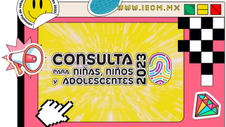 CONSULTAIECM.png